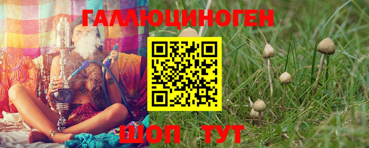 Псилоцибиновые грибы MAGIC MUSHROOMS  Вход с VPN  Усолье-Сибирское  Псилоцибиновые грибы Psilocybine cubensis 